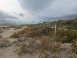 Near frst house after phase 1