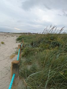 West side after phase 1