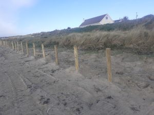 near first house before phase 1 