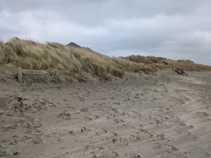 old visitor centre after