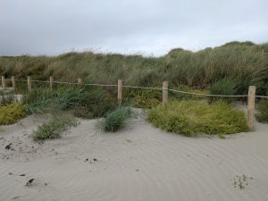 Second entrance after phase 1 