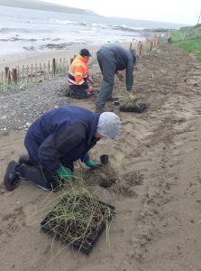 Lyme Marram boundary