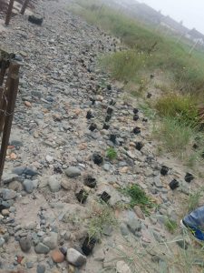 Sand Couch Lyme boundary