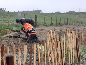 marram to the rear in sand